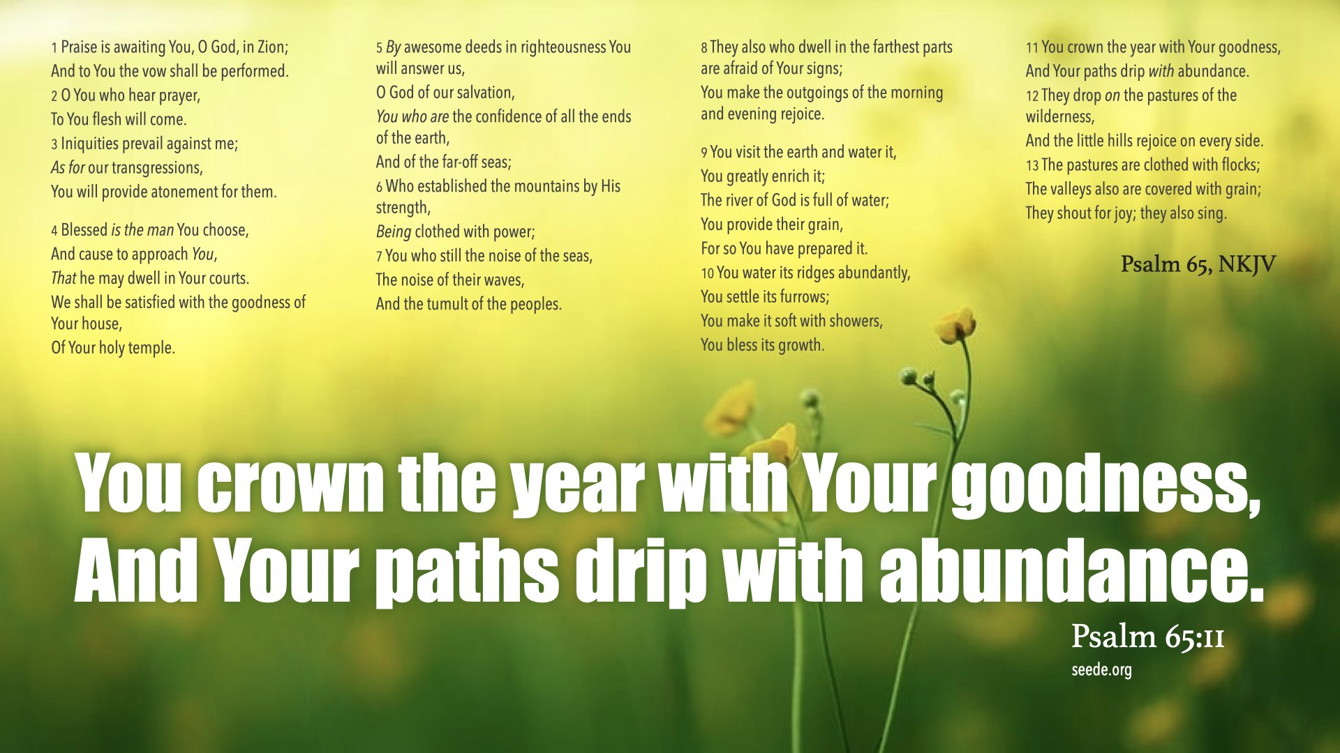 psalm-65-god-crowns-the-year-with-his-goodness-and-his-paths-drip